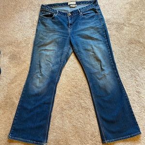Maurices Orchid Bootcut Jeans Size 18 Regular